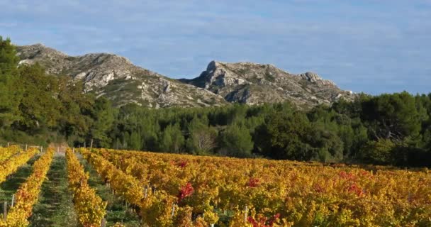 Βουνά Της Alpilles Θέα Στους Αμπελώνες Saint Remy Provence Γαλλία — Αρχείο Βίντεο