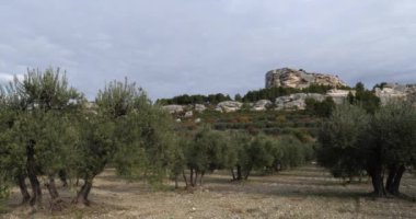 Üzüm bağları ve zeytin ağaçları, Les Baux de Provence, Fransa
