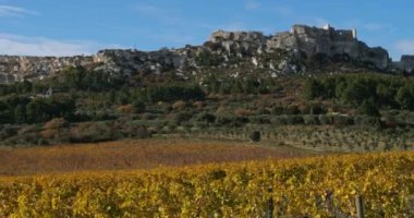 Üzüm bağları, Les Baux de Provence, Fransa