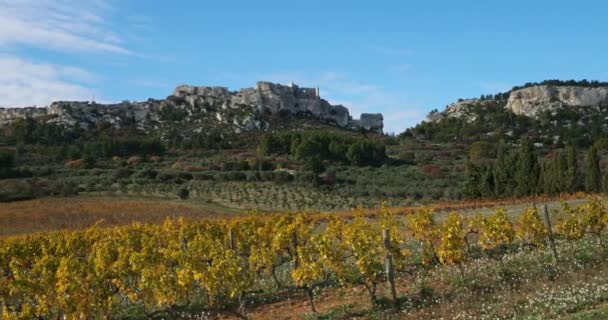 Виноградники Les Baux Provence Франция — стоковое видео