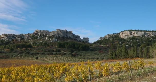 Weinberge Les Baux Provence Frankreich — Stockvideo
