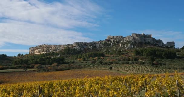 Wijngaarden Les Baux Provence Frankrijk — Stockvideo