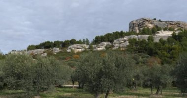 Zeytinlikler, Les Baux de Provence, Fransa