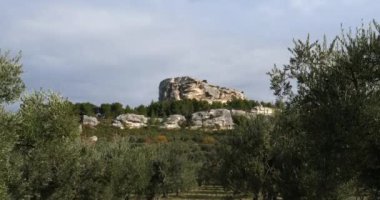 Zeytinlikler, Les Baux de Provence, Fransa