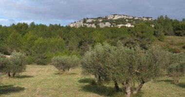 Zeytinlikler, Les Baux de Provence, Fransa