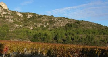 Üzüm bağlarına bakan Alpiller Dağları, Saint Remy de Provence, Fransa