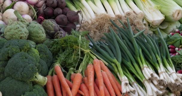 Свежие Овощи Ларьках Южном Рынке Франции — стоковое видео