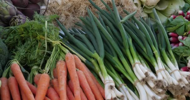 Güney Fransa Bir Markette Taze Sebzeler — Stok video