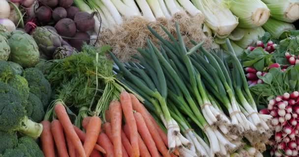 Legumes Frescos Barracas Mercado Sul França — Vídeo de Stock