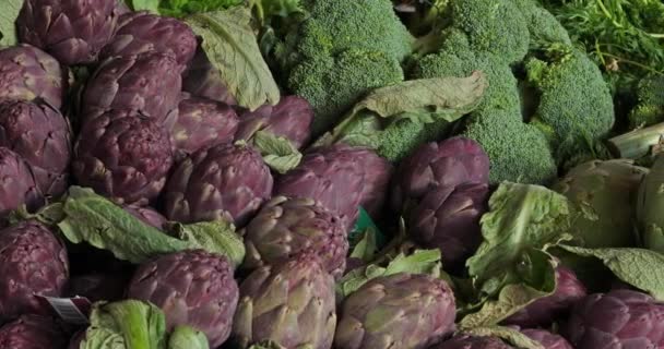 Fresh Vegetables Stalls Southern France Market — Stock Video