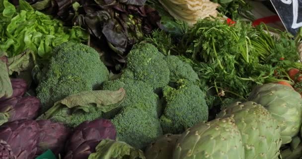 Fresh Vegetables Stalls Southern France Market — Stock Video