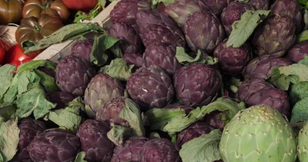 Świeże Warzywa Straganach Południowym Rynku Francuskim — Wideo stockowe