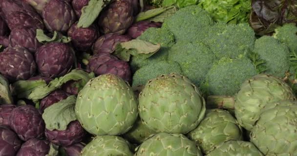 Légumes Frais Sur Étals Dans Marché Sud France — Video
