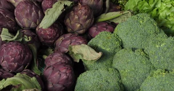 Świeże Warzywa Straganach Południowym Rynku Francuskim — Wideo stockowe