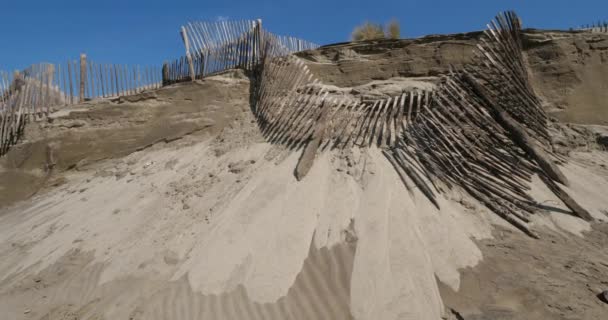 Coastal Erosion Camargue France — Stock Video