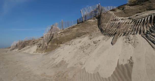 法国Camargue海岸侵蚀 — 图库视频影像