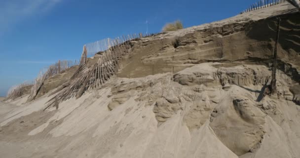 Küstenerosion Der Camargue Frankreich — Stockvideo