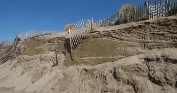法国Camargue海岸侵蚀 — 图库视频影像