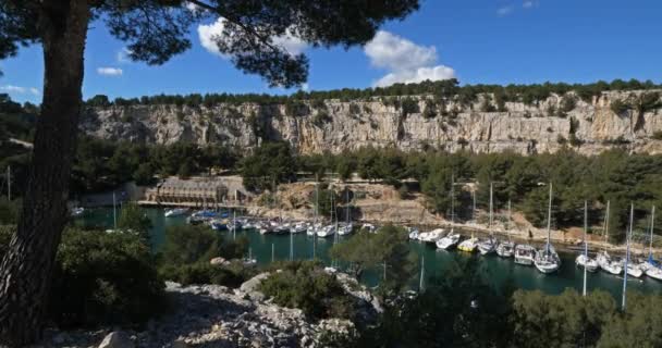 Crique Port Miou Cassis Provence France — Video