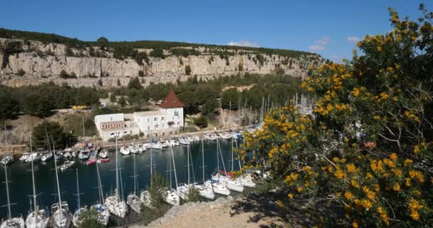 Port Miou Creek Cassis Provence França — Vídeo de Stock