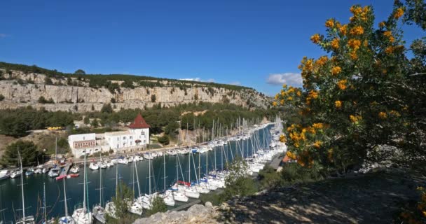 Crique Port Miou Cassis Provence France — Video