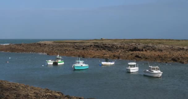 Small Harbour Front Lighthouse Gatteville Phare Cap Hague Cotentin Peninsula — Stockvideo