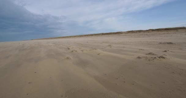 Die Pointe Algon Halbinsel Cotentin Frankreich — Stockvideo