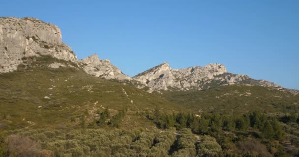 Olijfboomgaarden Les Civadieres Alpilles Range Provence Frankrijk — Stockvideo