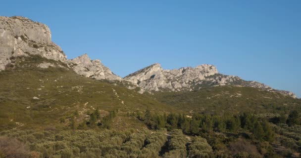 Alpiller Provence Fransa Zeytinlikler Les Civadieres — Stok video