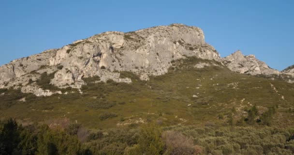 Оливковые Рощи Les Civadieres Alpilles Range Provence France — стоковое видео