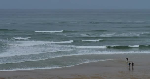 Strand Van Messanges Departement Landes Nouvelle Aquitaine Frankrijk — Stockvideo