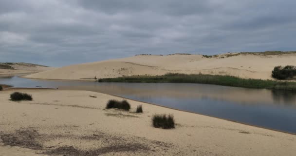 Courant Huchet Departement Landes Nouvelle Aquitaine Frankrijk — Stockvideo