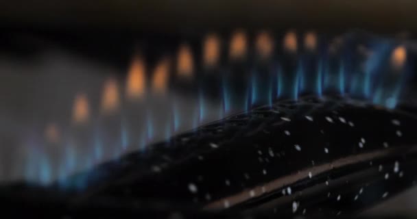 Gas Flame Cooker Hob Close — Stock Video