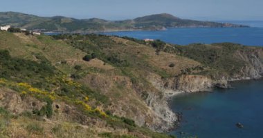 Banyuls sur Mer ve Cerbere arasındaki Capital Rederis, Pirenes Oriantales bölümü, Fransa