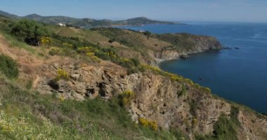 Banyuls sur Mer ve Cerbere arasındaki Capital Rederis, Pirenes Oriantales bölümü, Fransa