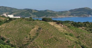 Banyuls sur Mer ve Cerbere arasındaki Capital Rederis, Pirenes Oriantales bölümü, Fransa