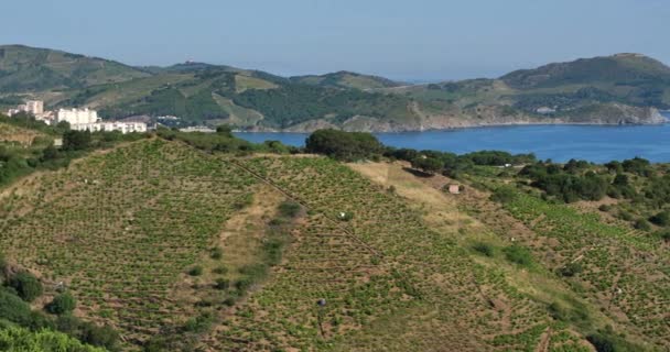 Banyuls Sur Mer Cerbere Arasındaki Capital Rederis Pirenes Oriantales Bölümü — Stok video