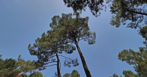 Los Franceses Colorado Rosellón Vaucluse Provenza Francia — Vídeos de Stock