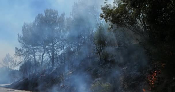 Calentamiento Global Fuego Campo Sur Francia — Vídeos de Stock