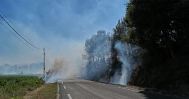 Küresel ısınma, kırsal alanda yangın, güney Fransa