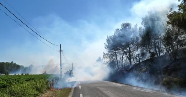 Aquecimento Global Incêndio Campo Sul França — Vídeo de Stock