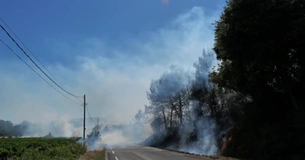 Globale Erwärmung Feuer Auf Dem Land Südfrankreich — Stockvideo