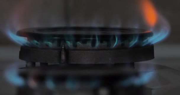 Plynový Plamen Varné Desce Zavřít — Stock video