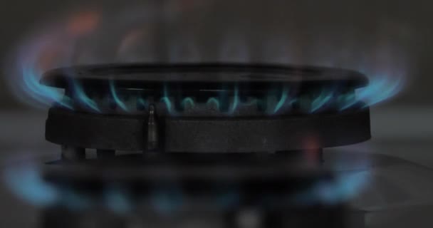 Gas Flame Cooker Hob Close — Stock Video