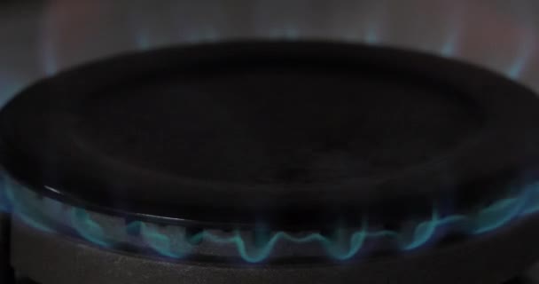 Plynový Plamen Varné Desce Zavřít — Stock video