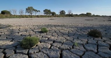 Camargue, Fransa 'da kuraklık