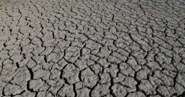 Camargue, Fransa 'da kuraklık