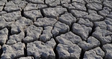 Camargue, Fransa 'da kuraklık