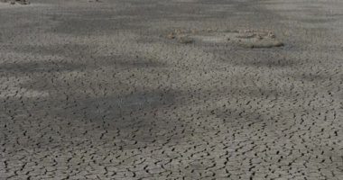 Camargue, Fransa 'da kuraklık