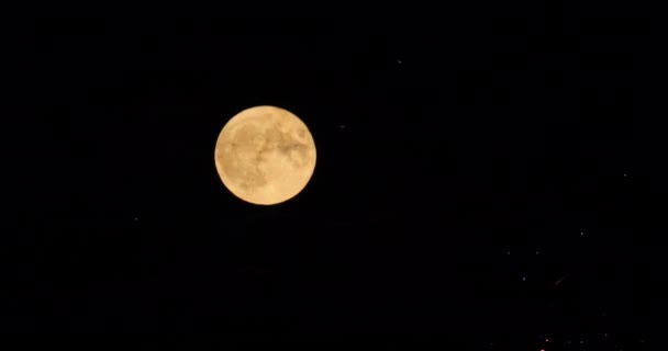 Firework Front Super Full Moon French Sky — Video Stock